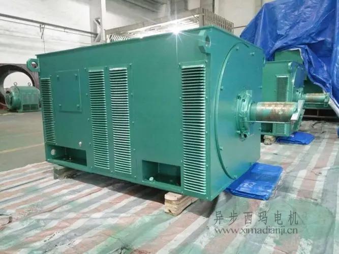 西瑪電機(jī)Y5603-10 560KW <a href=http://www.xzlcnt.com/new/new-47-621.html target='_blank'><a href=http://www.xzlcnt.com/new_tags_225.html target='_blank'>10kv高壓電機(jī)</a></a>